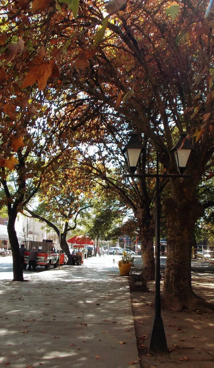 WhatsApp Image 2023-06-05 at 22.32.44