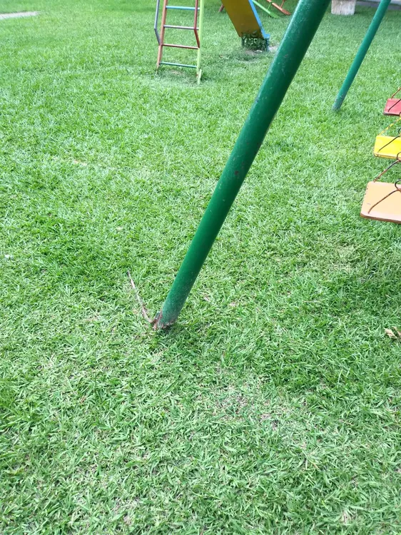 WhatsApp Image 2023-10-04 at 19.02.08