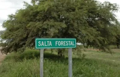 Salta Forestal