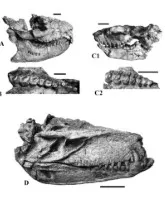 dinosaurio en lmbreras