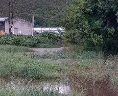 Encon inundado de guano