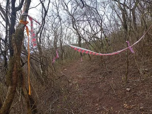 WhatsApp Image 2025-08-18 at 13.12.35 (1)