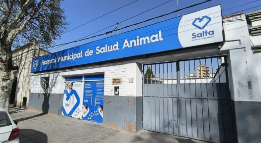 Hospital de mascotas