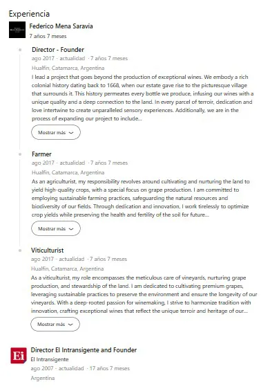 Federico Mena Saravia LinkedIn Perfil Experiencia