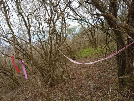 WhatsApp Image 2025-08-18 at 13.12.35