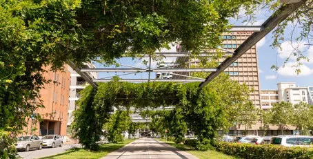 ecosistema biofílico