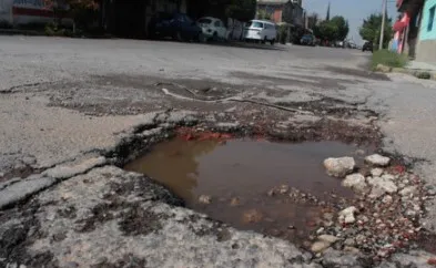 bache