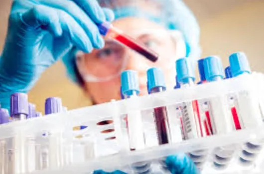 Bioquimica