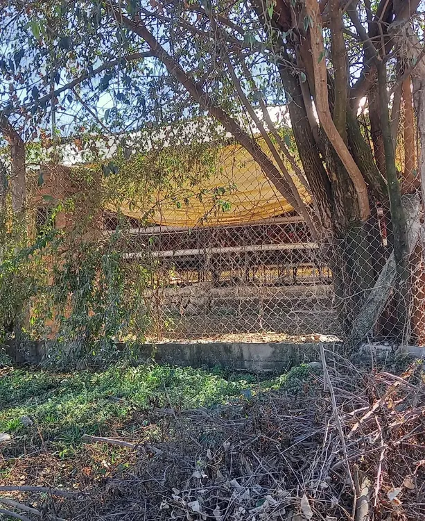 WhatsApp Image 2025-07-15 at 11.05.05 (1)