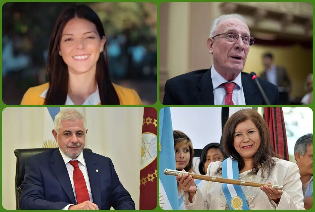 111318-la-justicia-valido-la-eleccion-y-confirmo-los-diputados-nacionales-electos-por-salta