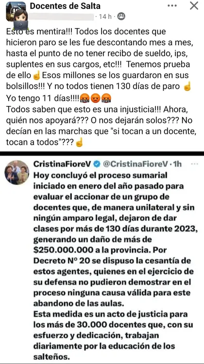 Docentes autoconvocados