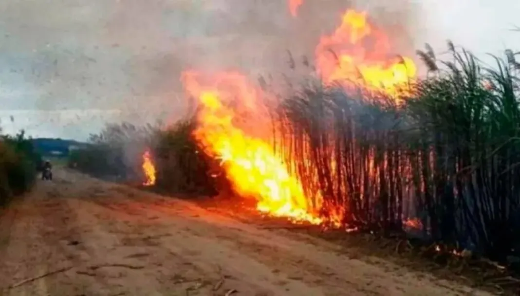 Incendio en Parque Nacional Baritú