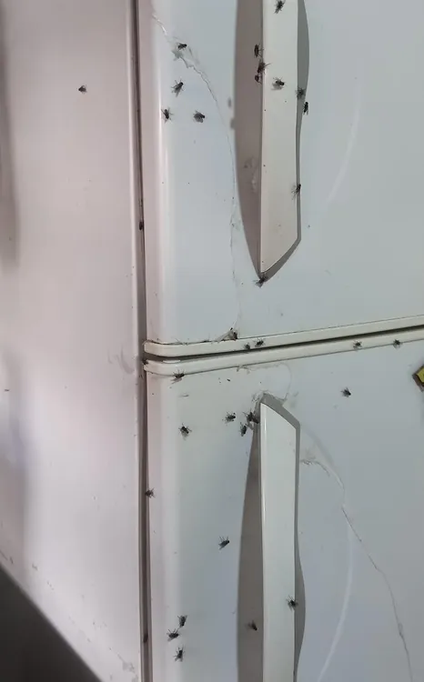 WhatsApp Image 2025-05-08 at 10.24.34