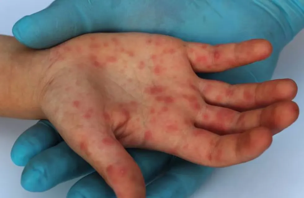 image - 2024-09-03T122628.505