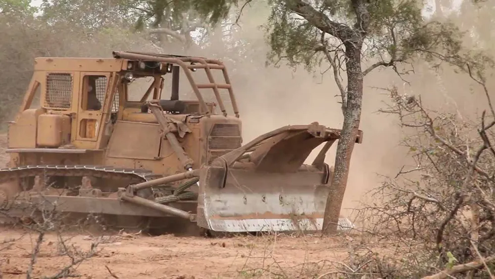 z-desmonte-chaco-salt-1w