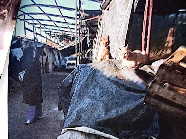 Captura de pantalla (18)