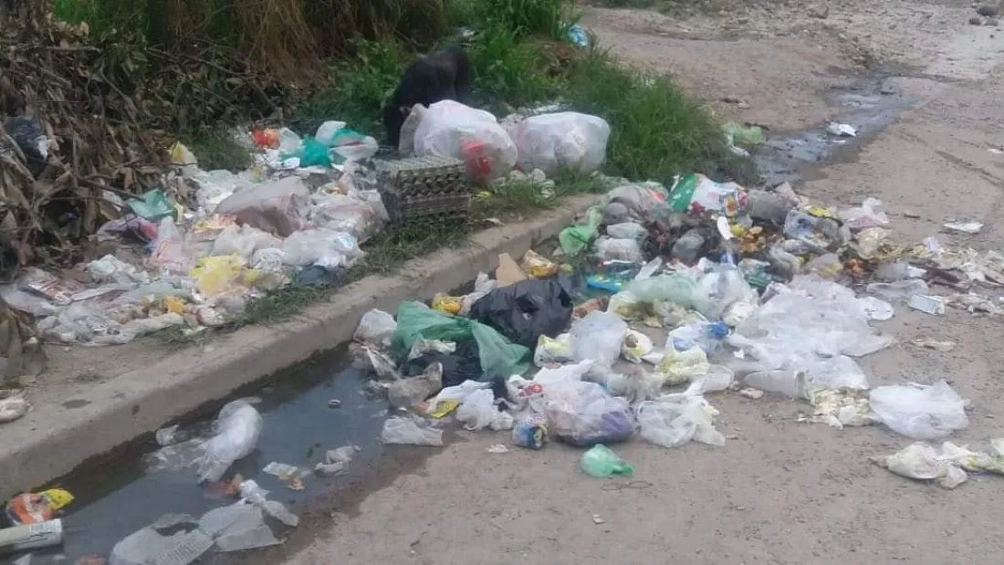 110234-advierten-que-oran-no-tiene-camiones-para-el-servicio-de-recoleccion-de-residuos