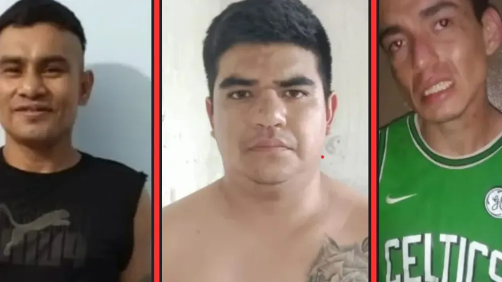 Diseño sin título