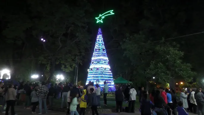 Arbol de navidad de cerrillos