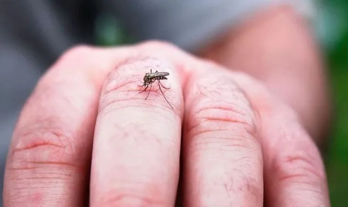 image - 2025-01-16T183719.125