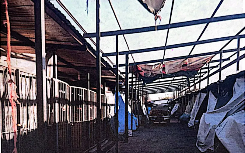 Captura de pantalla (10)