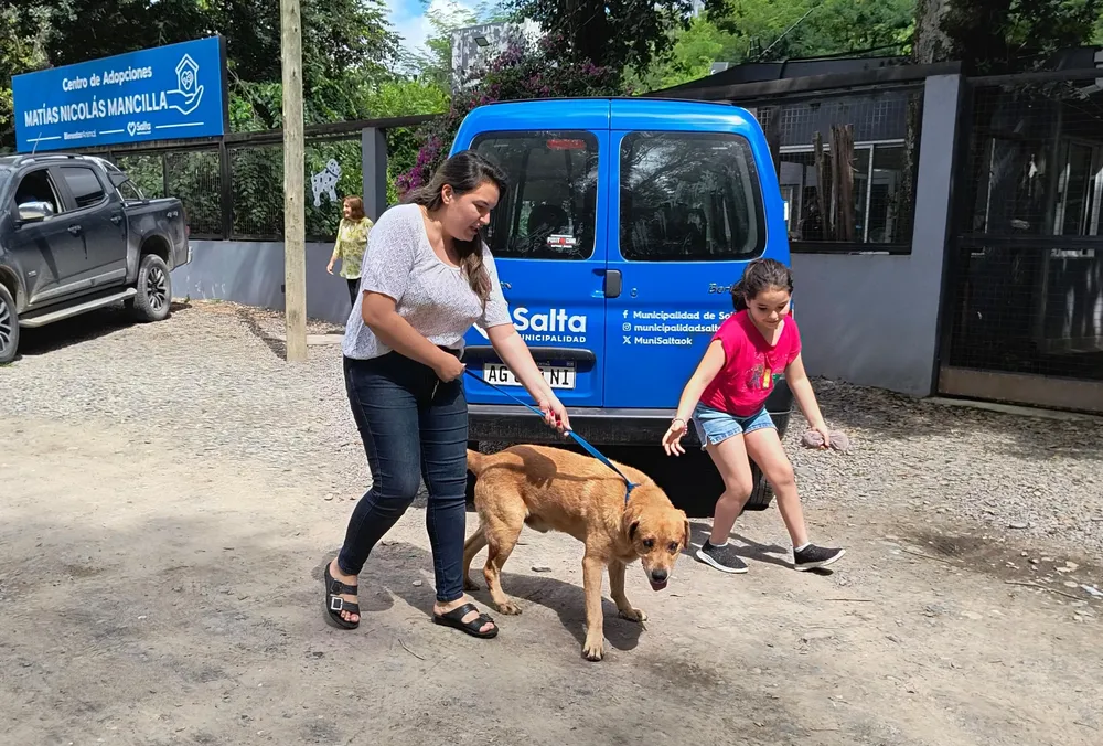 adopcion-perro-geronte-y-ciego-1-scaled