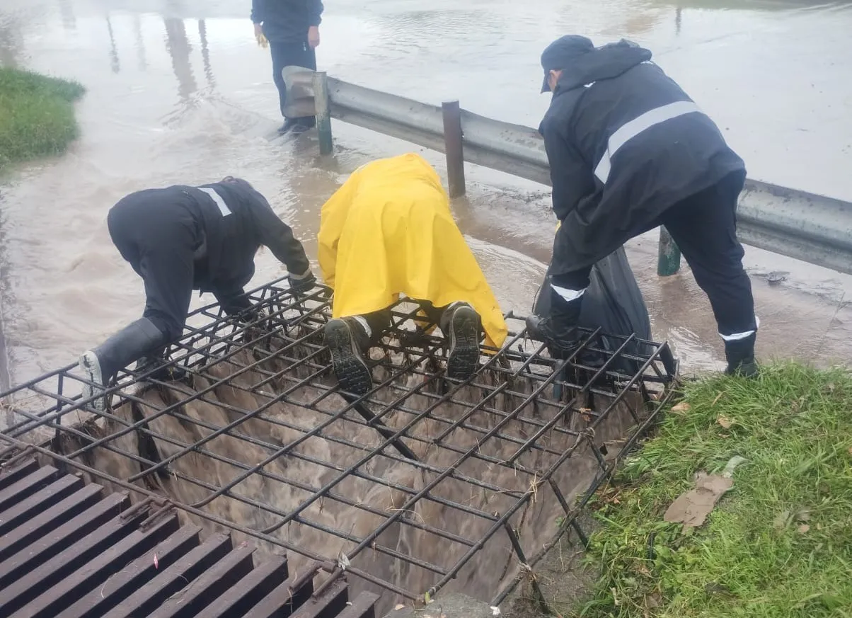 WhatsApp Image 2025-12-28 at 12.16.50