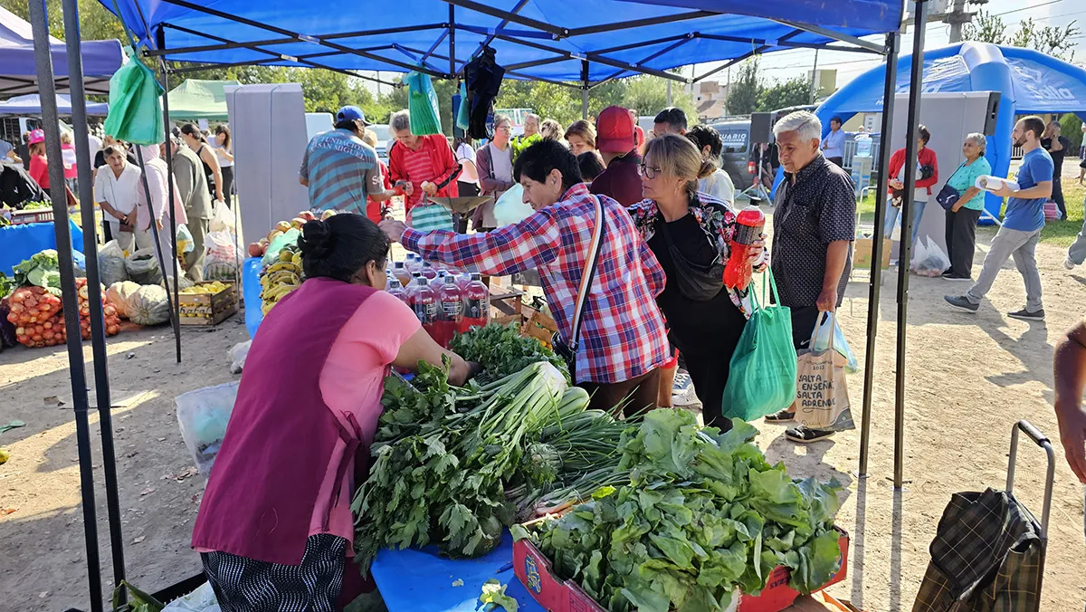 mercado-en-tu-barrio-limache-21