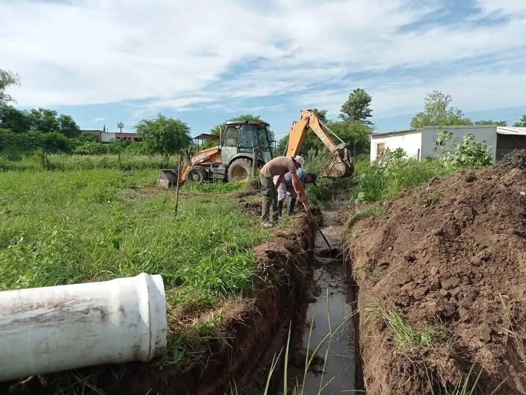 WhatsApp Image 2025-01-21 at 13.03.49 (1)