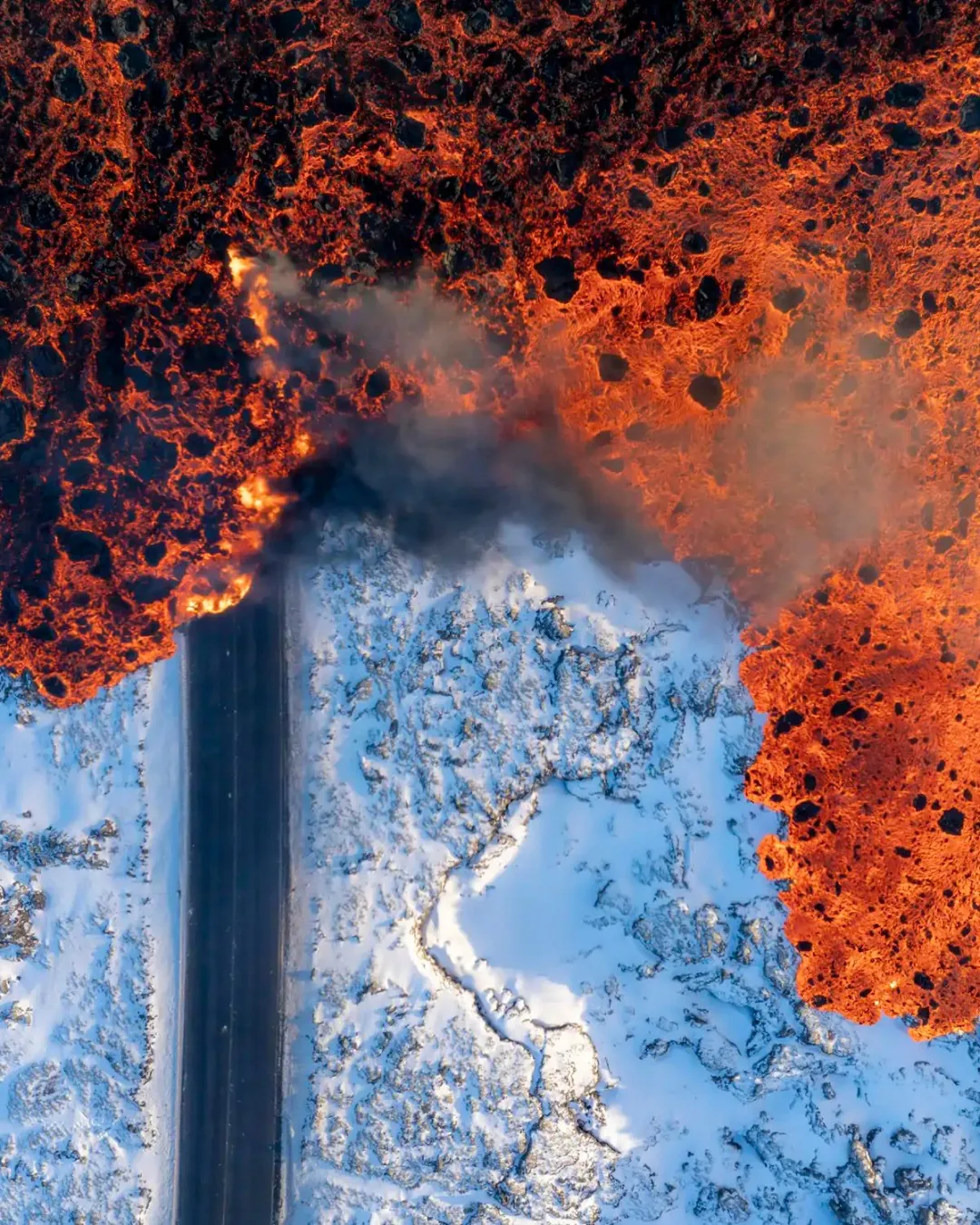 El certamen World Nature Photography vuelve en 2025 a cautivarnos con su lista de galardonados, que premia la excelencia de fotógrafos de todas partes del mundo. Te mostramos algunas de las imágenes ganadoras en e