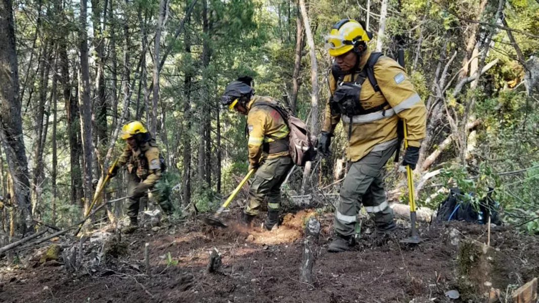 image - 2025-02-18T024601.007