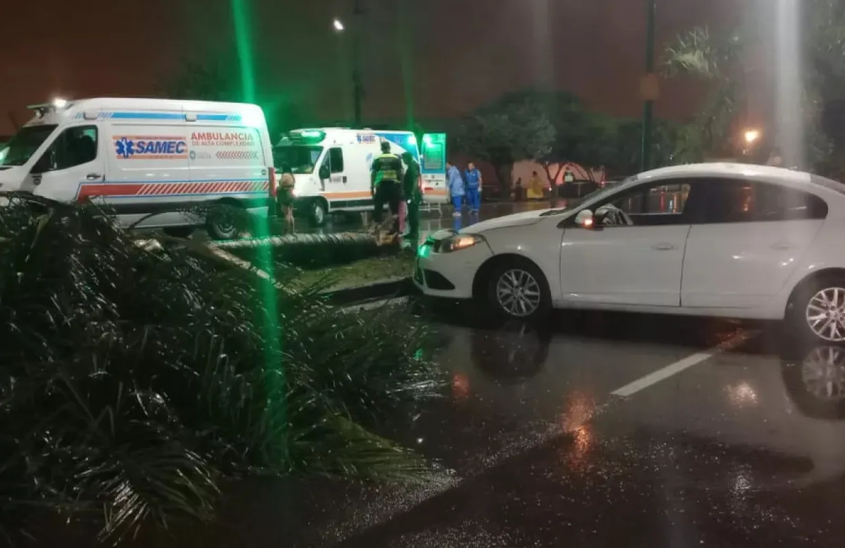 image - 2024-11-27T164944.067