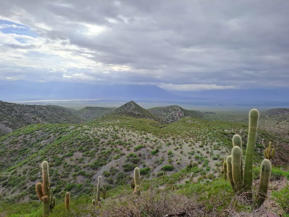 WhatsApp Image 2024-01-23 at 16.25.13