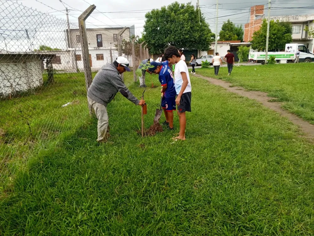 plantacion-puerto-argentino-1-1536x1152