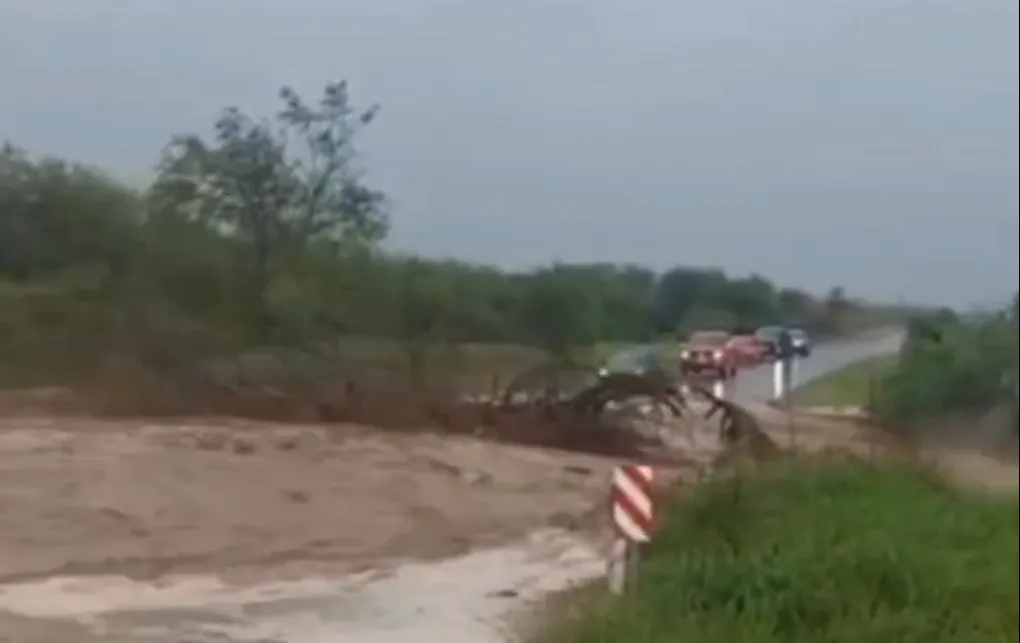 Captura de pantalla (95)