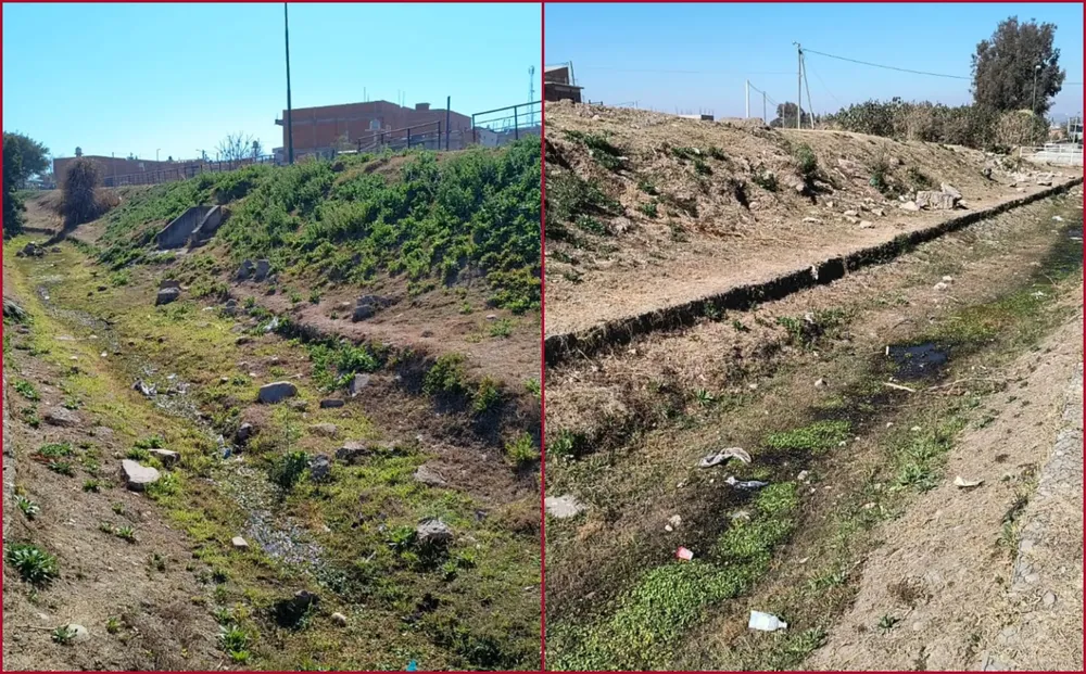 BeFunky-collage (37)