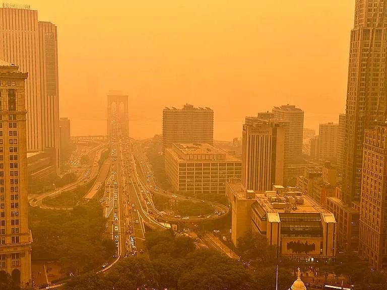 9bffaa11-734086-ny-202-768x576 (1)