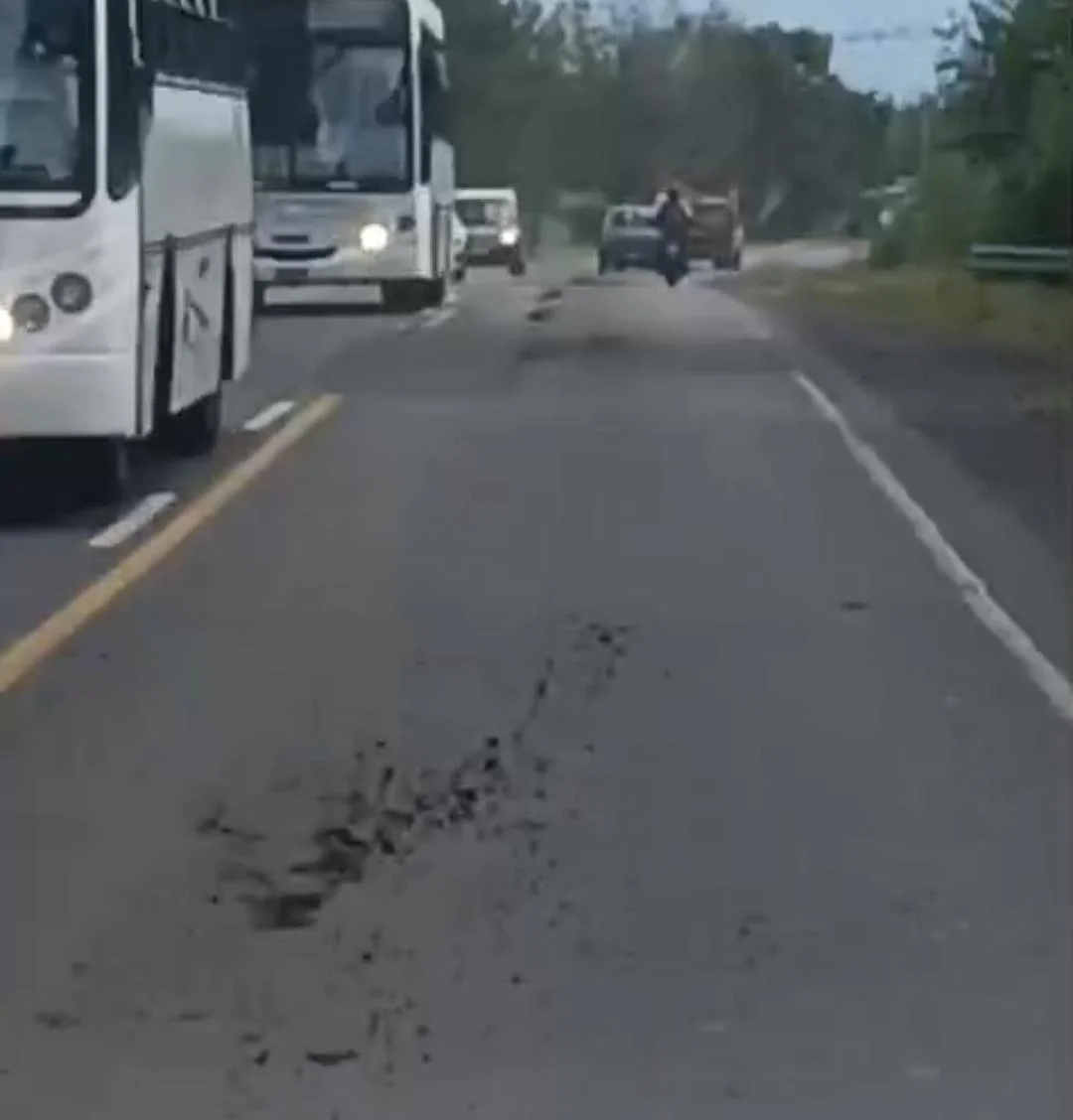 Guano en la ruta 51