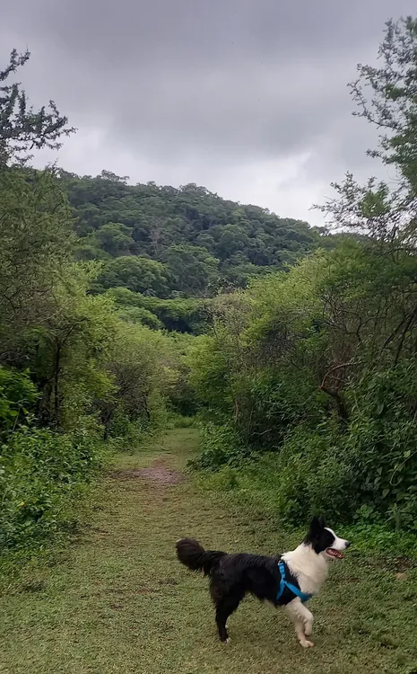 Sendero Taguató Sendero Taguató