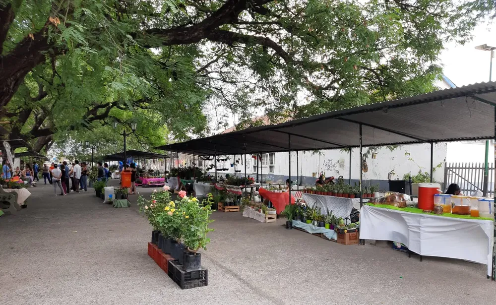 feria-de-plantas-paseo-ameghino-1
