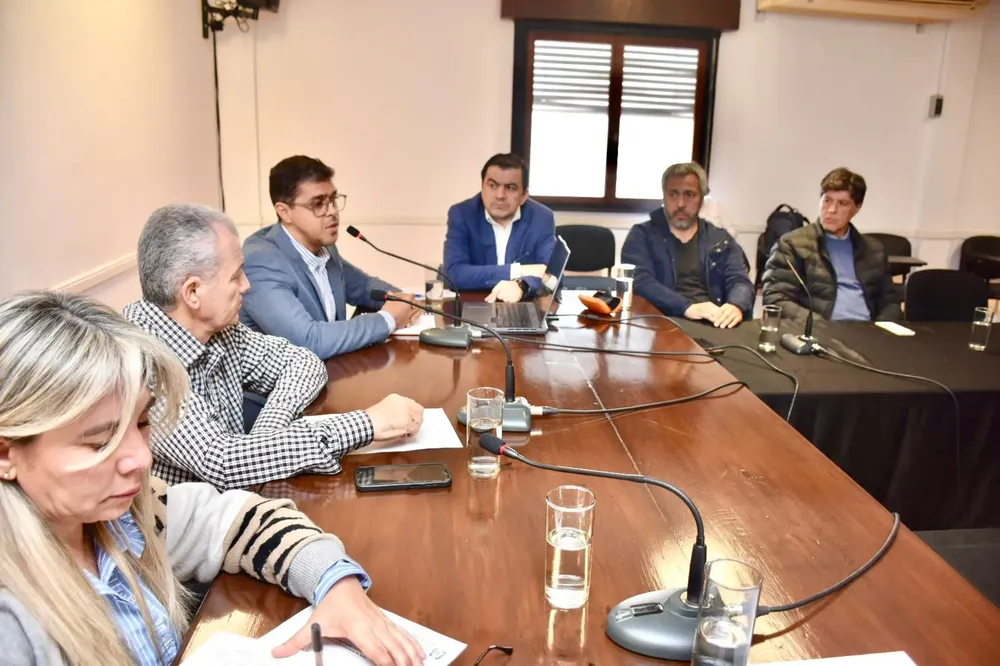Reunion senado anestesiologos