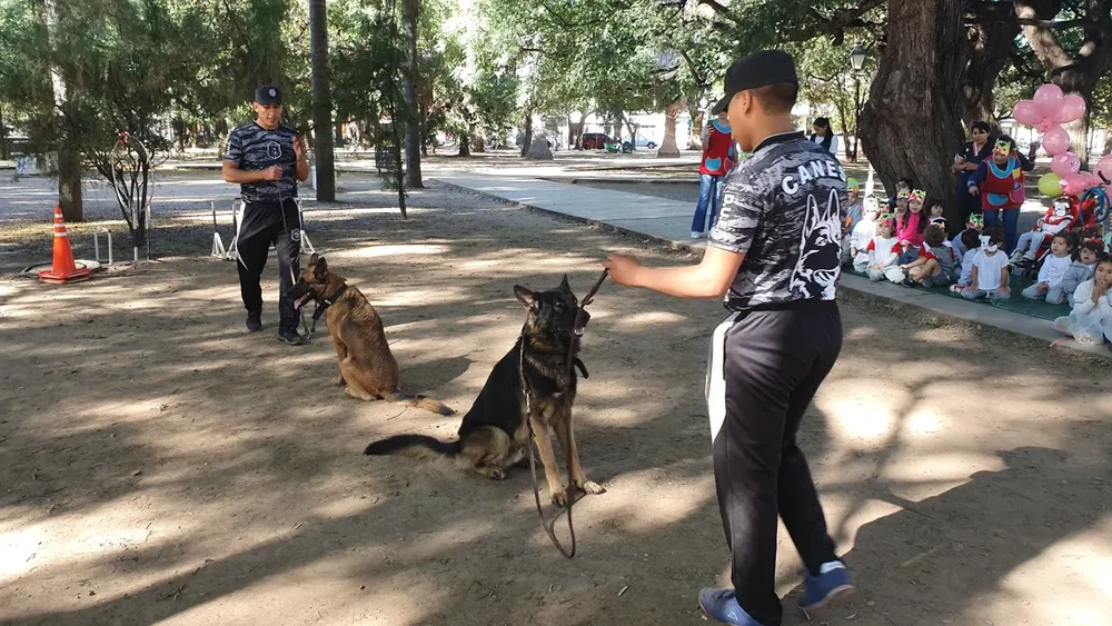 dia-del-animal-1-1536x864