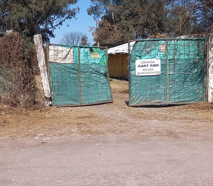 WhatsApp Image 2025-07-15 at 11.05.05