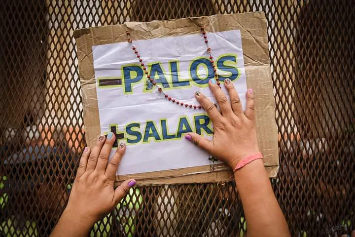 WhatsApp Image 2023-06-01 at 21.08.26