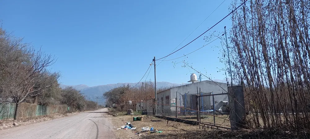 WhatsApp Image 2025-07-15 at 10.03.35