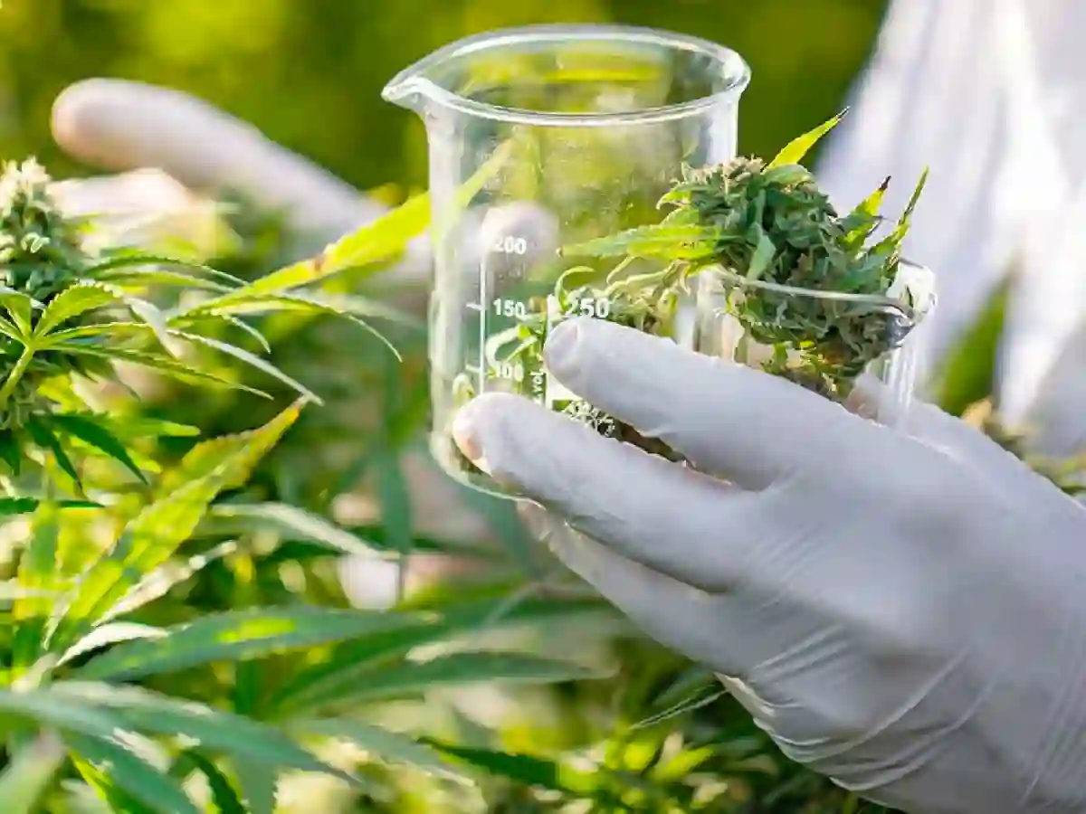 50361-cannabis-medicinal-en-salta-un-encuentro-decisivo-para-el-reprocann-y-la-economia-del-saber