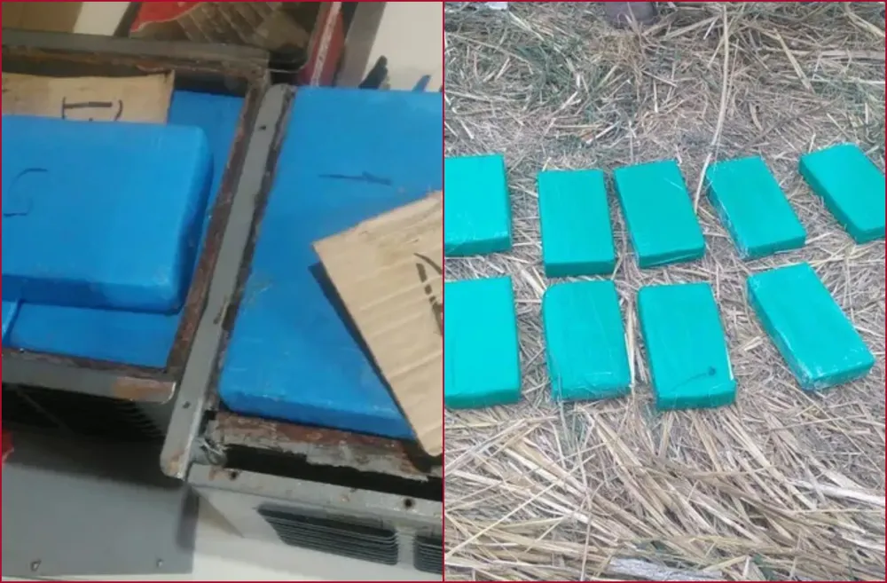 BeFunky-collage11} (7)