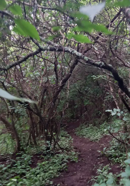 Sendero El Zorzal - Reserva