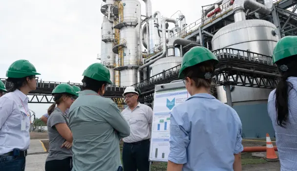 trabajadores azucareros