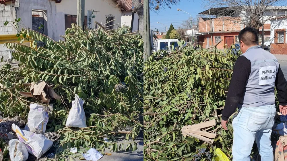 BeFunky-collage (32)